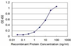 Detection limit for recombinant GST tagged PHF1 is approximately 1ng/ml as a capture antibody. (PHF1 抗体  (AA 2-100))