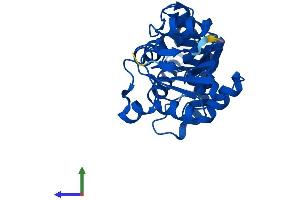 Protein Structure (PS) image for Enolase-Phosphatase 1 (ENOPH1) (AA 1-261) protein (His tag) (ABIN7547351)