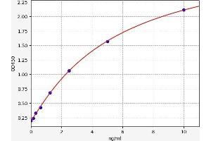 COL7A1 ELISA 试剂盒
