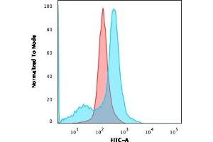 Flow Cytometric Analysis of U87MG cells using CD73 Mouse Monoclonal Antibody (NT5E/2503) followed by goat anti-Mouse IgG-CF488 (Blue); Isotype Control (Red). (CD73 抗体)