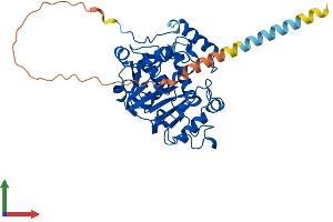 Protein Structure (PS) image for ST6 beta-Galactosamide alpha-2,6-Sialyltranferase 1 (ST6GAL1) (AA 1-403) protein (His tag) (ABIN7557848)