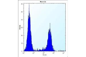 Flow Cytometry (FACS) image for anti-CF153 antibody (ABIN2995840) (CF153 抗体)