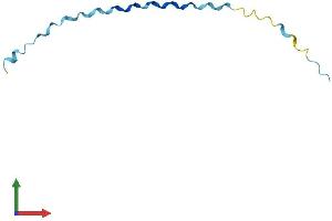 Protein Structure (PS) image for Small Proline Rich Protein 2A (SPRR2A) (AA 1-72) protein (Fc Tag) (ABIN7546277)