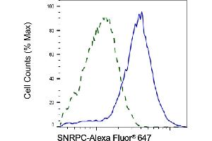 Validation of SNRPC knockdown using flow cytometry.