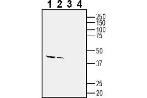 1-2.