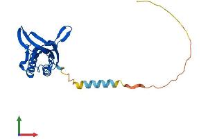 Protein Structure (PS) image for D-Tyrosyl-tRNA Deacylase 1 Homolog (S. Cerevisiae) (DTD1) (AA 1-209) protein (His tag) (ABIN7561369)