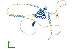Protein Structure (PS) image for Ena-Vasodilator Stimulated Phosphoprotein (EVL) (AA 1-414) protein (His tag) (ABIN7556722)