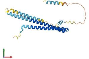 AlphaFold protein structure predicition of Mouse Recombinant Chmp2a Protein, UniprotID Q9DB34
