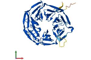 Protein Structure (PS) image for Kelch Domain Containing 8B (KLHDC8B) (AA 1-354) protein (His tag) (ABIN7560910)