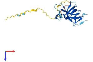 CSDC2 Protein (AA 1-153) (His tag)