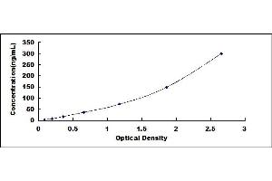 Typical standard curve (PAEP ELISA 试剂盒)