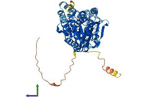 Protein Structure (PS) image for Phosphatidylinositol Glycan Anchor Biosynthesis, Class A (PIGA) (AA 1-485) protein (His tag) (ABIN7557824)