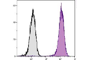 Human T cell leukemia cell line Jurkat was intracellularly stained with Mouse Anti-Human CD107a-PE. (LAMP1 抗体  (PE))