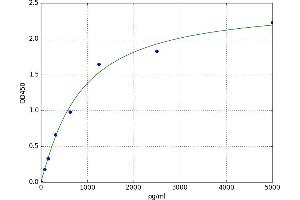 A typical standard curve (COQ10B ELISA 试剂盒)