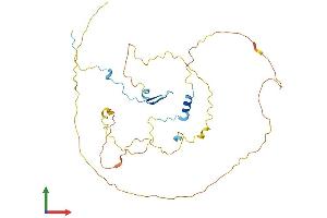 Protein Structure (PS) image for CDC42 Effector Protein (Rho GTPase Binding) 4 (CDC42EP4) (AA 1-349) protein (His tag) (ABIN7561699)