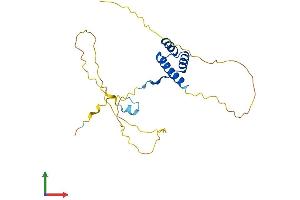 AlphaFold protein structure predicition of Human Recombinant BSX Protein, UniprotID Q3C1V8 (BSX Protein (AA 1-233) (His tag))