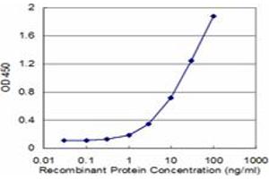 Detection limit for recombinant GST tagged FAAH is approximately 1ng/ml as a capture antibody. (FAAH 抗体  (AA 480-579))