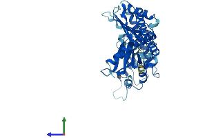 AlphaFold protein structure predicition of Human Recombinant BABAM2 Protein, UniprotID Q9NXR7 (BRE Protein (AA 1-383) (His tag))