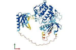 Protein Structure (PS) image for V-Akt Murine Thymoma Viral Oncogene Homolog 2 (AKT2) (AA 1-481) protein (His tag) (ABIN7563880)