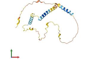 Protein Structure (PS) image for BCL2-Like 11 (Apoptosis Facilitator) (BCL2L11) (AA 1-198) protein (His tag) (ABIN7552545)