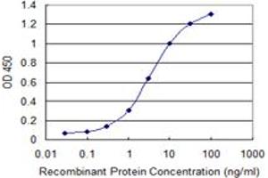Detection limit for recombinant GST tagged TPM3 is 0. (TPM3 抗体  (AA 1-248))