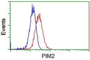 Image no. 8 for anti-Proto-Oncogene Pim-2 (Serine Threonine Kinase) (PIM2) antibody (ABIN1500220)