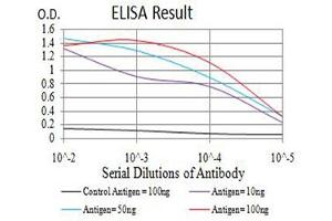 Black line: Control Antigen (100 ng),Purple line: Antigen (10 ng), Blue line: Antigen (50 ng), Red line:Antigen (100 ng) (Aurora A 抗体  (AA 268-404))