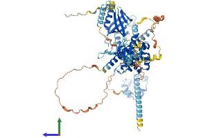 Protein Structure (PS) image for EPS8-Like 1 (EPS8L1) (AA 1-723) protein (His tag) (ABIN7547397)