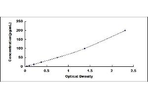 Typical standard curve (AMY2A ELISA 试剂盒)