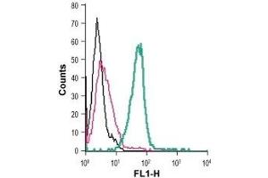 Cell surface detection of GPR34 in live intact mouse BV-2 microglia cells: (black line) Cells. (GPR34 抗体  (Extracellular) (FITC))