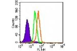 Image no. 3 for anti-Toll-Like Receptor 5 (TLR5) (AA 700-800) antibody (ABIN208231) (TLR5 抗体  (AA 700-800))