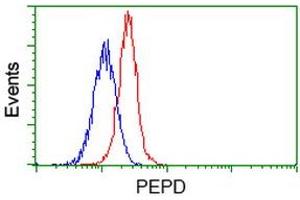 Flow cytometric Analysis of Jurkat cells, using anti-PEPD antibody (ABIN2453446), (Red), compared to a nonspecific negative control antibody (TA50011), (Blue). (PEPD 抗体)