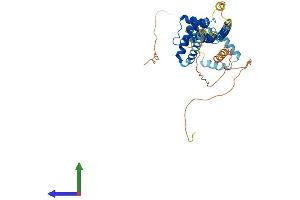 Protein Structure (PS) image for Pre-B-Cell Leukemia Transcription Factor 3 (PBX3) (AA 1-434) protein (His tag) (ABIN7562301)
