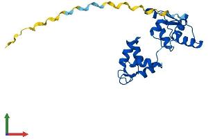 Protein Structure (PS) image for Myosin Light Chain 4, Alkali, Atrial, Embryonic (MYL4) (AA 1-197) protein (His tag) (ABIN7549662)