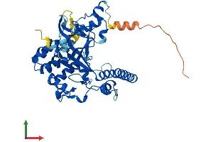Protein Structure (PS) image for SMYD Family Member 5 (SMYD5) (AA 1-418) protein (His tag) (ABIN7546213)