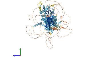 Protein Structure (PS) image for Transient Receptor Potential Cation Channel, Subfamily M, Member 1 (TRPM1) (AA 1-1603) protein (His tag) (ABIN7555857)
