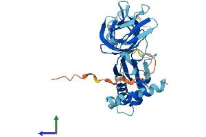 AlphaFold protein structure predicition of Human Recombinant EXOSC2 Protein, UniprotID Q13868
