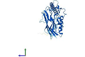Protein Structure (PS) image for ATPase, Na+/K+ Transporting, beta 3 Polypeptide (ATP1B3) (AA 1-278) protein (His tag) (ABIN7556796)
