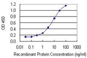 Detection limit for recombinant GST tagged RAB33A is 0. (RAB33A 抗体  (AA 1-237))