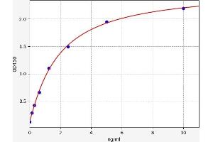 BCL2-Associated X Protein (BAX) ELISA Kit