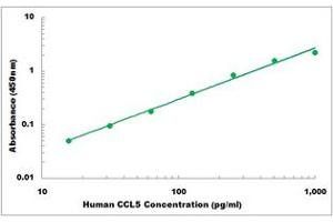 Representative Standard Curve (CCL5 ELISA 试剂盒)