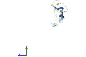 Protein Structure (PS) image for Calcium Binding and Coiled-Coil Domain 1 (CALCOCO1) (AA 1-691) protein (His tag) (ABIN7552831)