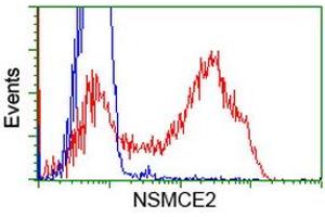 HEK293T cells transfected with either RC207639 overexpress plasmid (Red) or empty vector control plasmid (Blue) were immunostained by anti-NSMCE2 antibody (ABIN2453383), and then analyzed by flow cytometry. (NSMCE2 抗体)