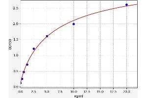 Typical standard curve (Cyclin B1 ELISA 试剂盒)