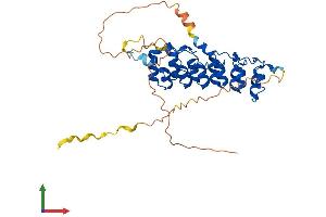 AlphaFold protein structure predicition of Human Recombinant NFKBIB Protein, UniprotID Q15653
