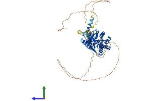 Protein Structure (PS) image for Calcium Channel, Voltage-Dependent, beta 4 Subunit (CACNB4) (AA 1-519) protein (His tag) (ABIN7559642)
