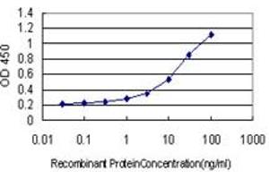 Detection limit for recombinant GST tagged SLC45A2 is approximately 0. (SLC45A2 抗体  (AA 1-243))