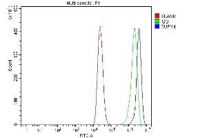 Flow Cytometry analysis of THP-1 cells using anti-RUFY4 antibody (ABIN7599475). (RUFY4 抗体  (AA 1-553))