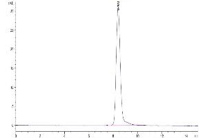 Size-exclusion chromatography-High Pressure Liquid Chromatography (SEC-HPLC) image for Kallikrein B, Plasma (Fletcher Factor) 1 (KLKB1) (AA 20-638) protein (His tag) (ABIN7275094)