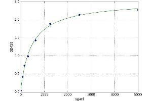 A typical standard curve (5HT1B Receptor ELISA 试剂盒)